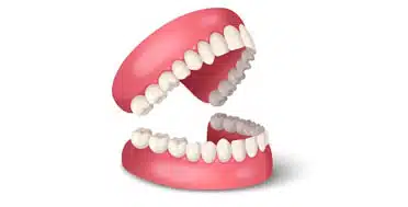 3D model of open dentures showing upper and lower false teeth with pink gums on white background.